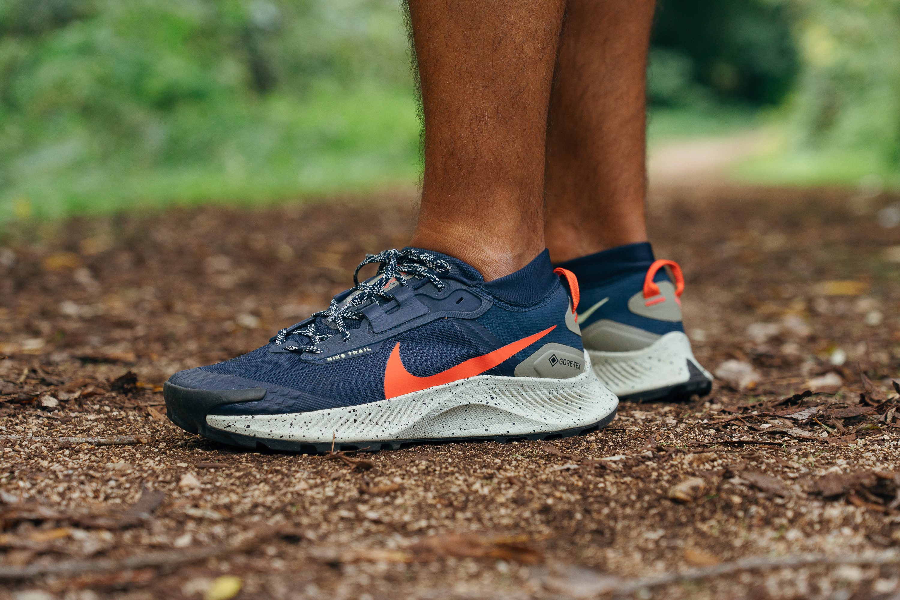 Nike Pegasus Trail 3 GTX