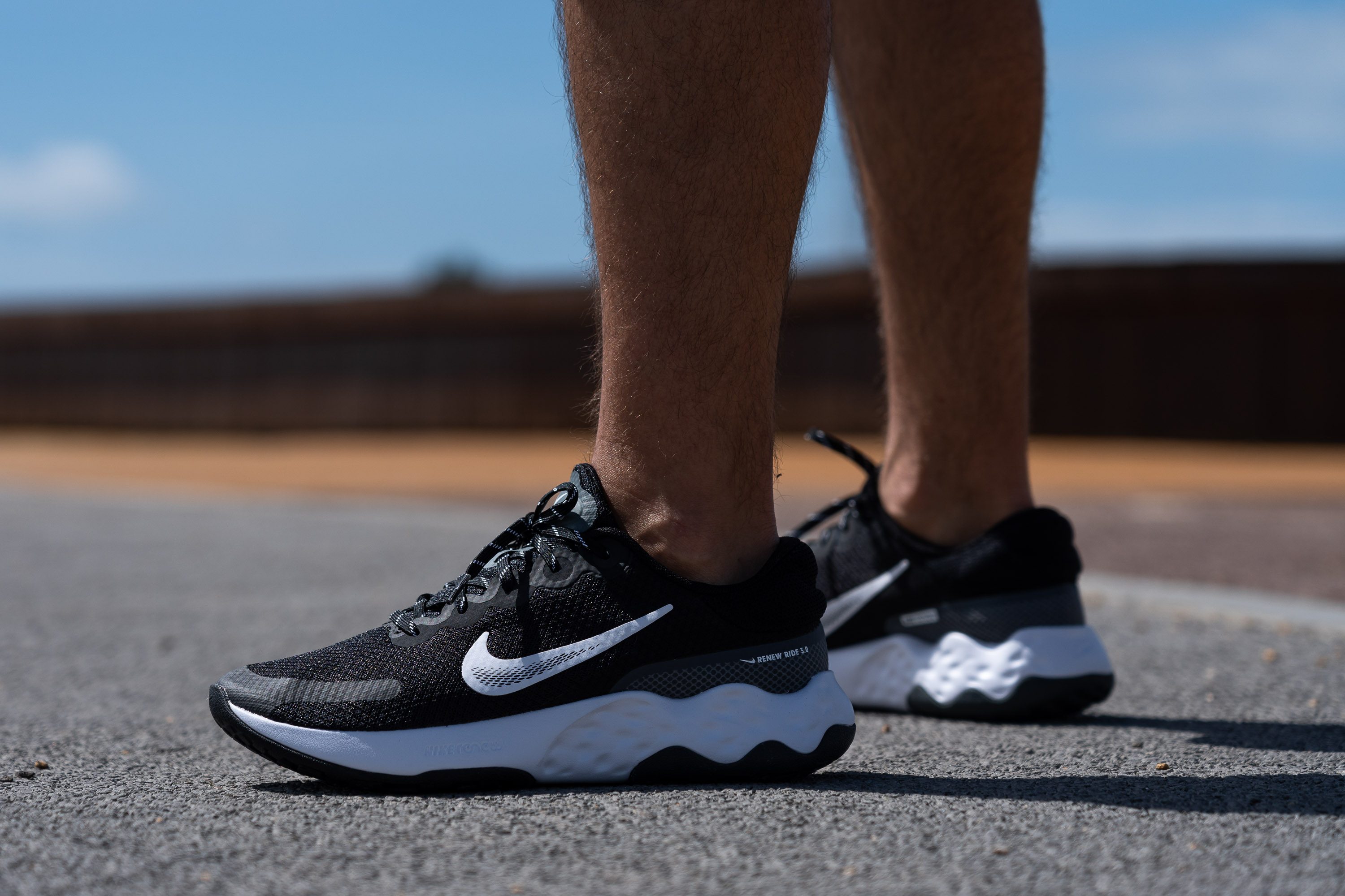 Nike Renew Ride 3