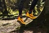 Saucony Peregrine 12