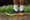 ASICS Trabuco Max 2
