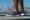 Allbirds Tree Dasher