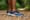 Brooks Divide 4