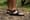 Chaco Z/Cloud