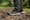 KEEN NXIS Speed