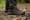KEEN Targhee III Waterproof