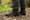 KEEN Voyageur Mid