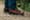 Merrell Moab Speed GTX