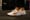 Nike Air Zoom TR 1