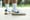 Nike Court Vision Low