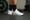 Nike Free Metcon 6