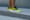 Saucony Ride 15