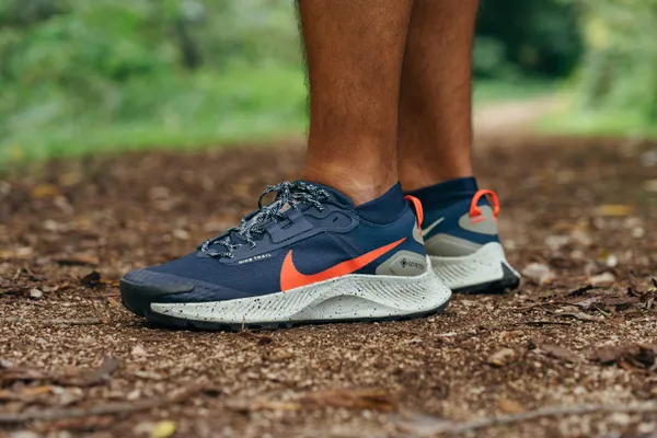 Nike Pegasus Trail 3 GTX