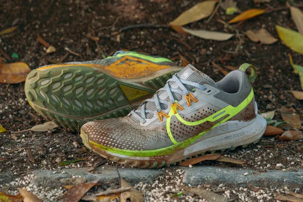 Nike Pegasus Trail 4