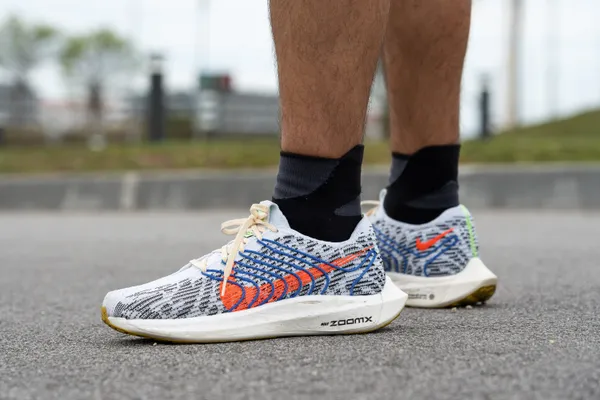 Nike Pegasus Turbo
